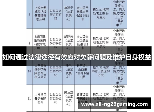 如何通过法律途径有效应对欠薪问题及维护自身权益 如何通过法律途径有效应对欠薪问题及维护自身权益