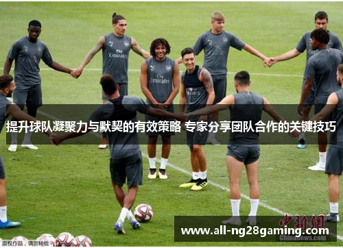 提升球队凝聚力与默契的有效策略 专家分享团队合作的关键技巧