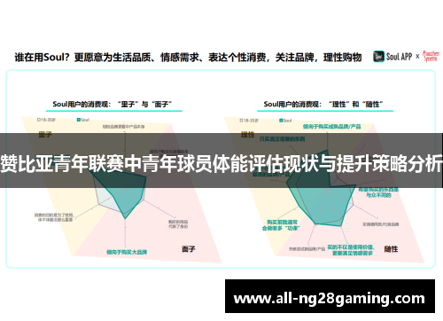 赞比亚青年联赛中青年球员体能评估现状与提升策略分析 赞比亚青年联赛中青年球员体能评估现状与提升策略分析